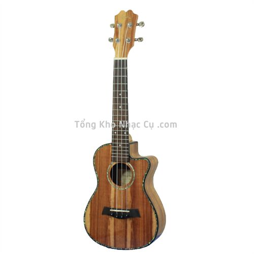 Đàn Ukulele FDM FM500C